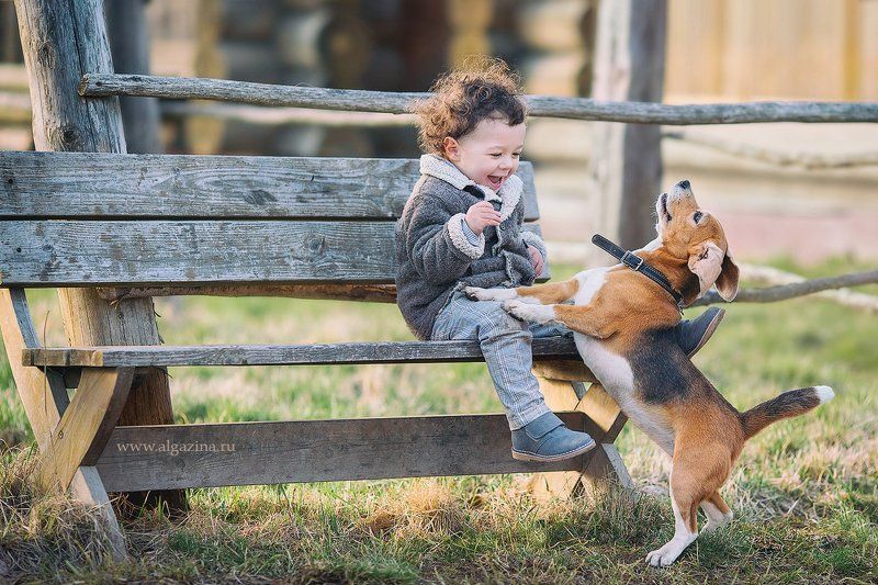 дети малыш мальчик щенок собака детская фотография photo preview