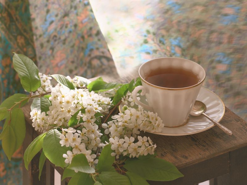 натюрморт, черемуха, чай, чашка, белый, зеленый, весна, арт ***photo preview