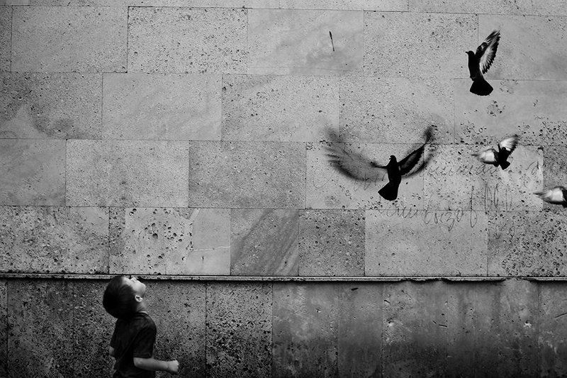 детская, черно-белая, портрет, жанровый портрет Детские фантазииphoto preview