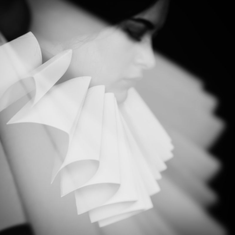 портрет, черно-белая Автопортретphoto preview