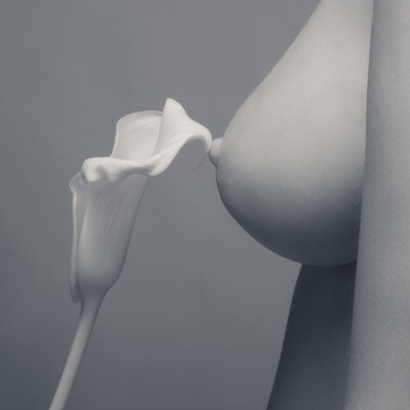 Касаниеphoto preview