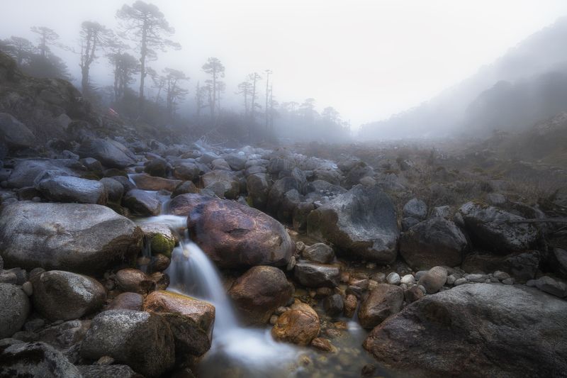 туман. ручей, долина, горы, гималаи, индия, сикким ***photo preview