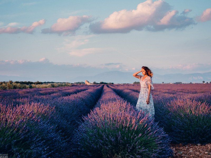 лаванда,  франция,  прованс,  портрет Настяphoto preview