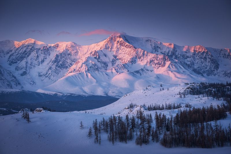 Горы Алтай рассвет зима снег Холодный рассветphoto preview