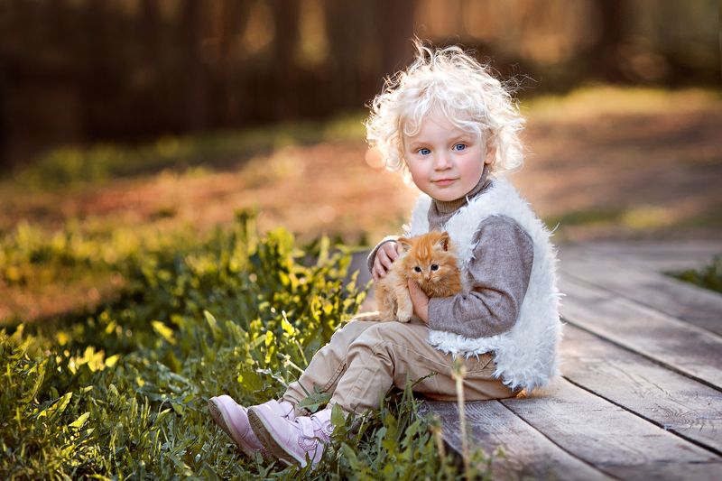 2 котенкаphoto preview