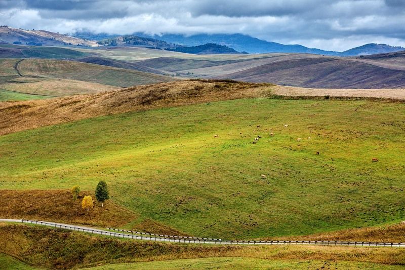 Просторы Алтая!photo preview