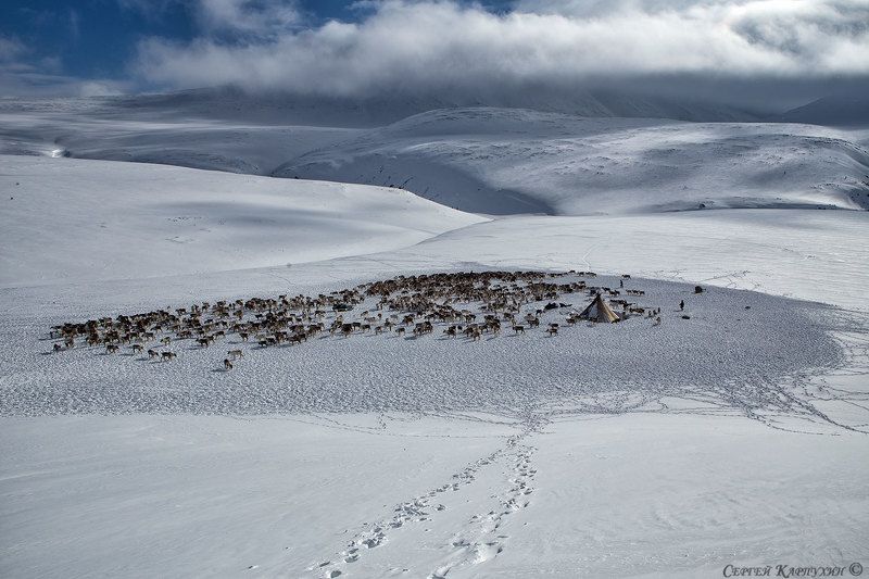 полярный урал, стойбище, оленеводы, чум, олени, горы, снег Стойбище.photo preview