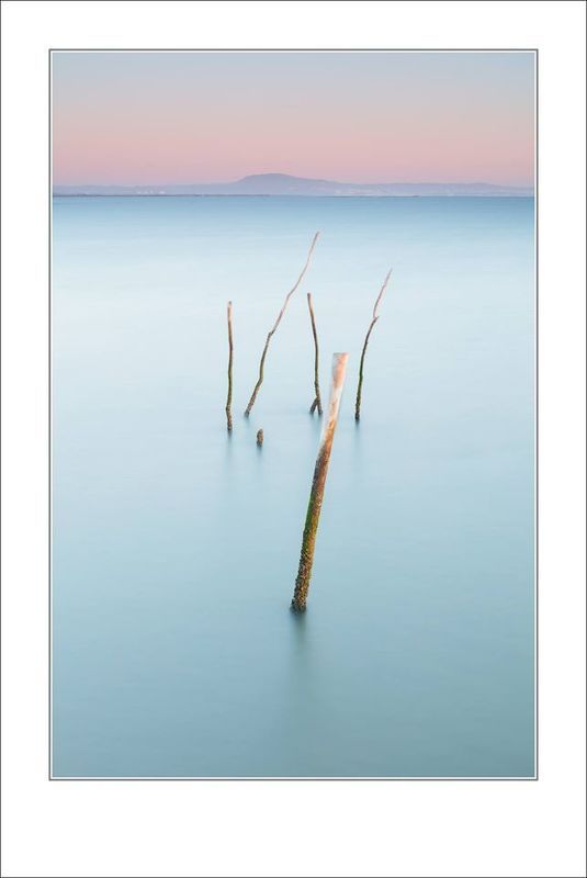 Японский мотивphoto preview