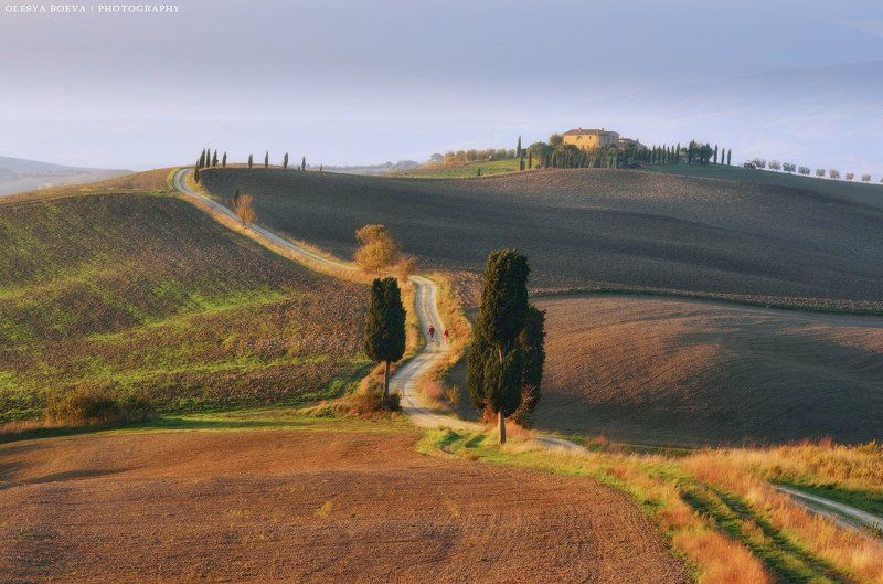 Тоскана, осень, поля, Италия, Italy, Tuscany, autumn, fields Осеннее утро в Тосканеphoto preview