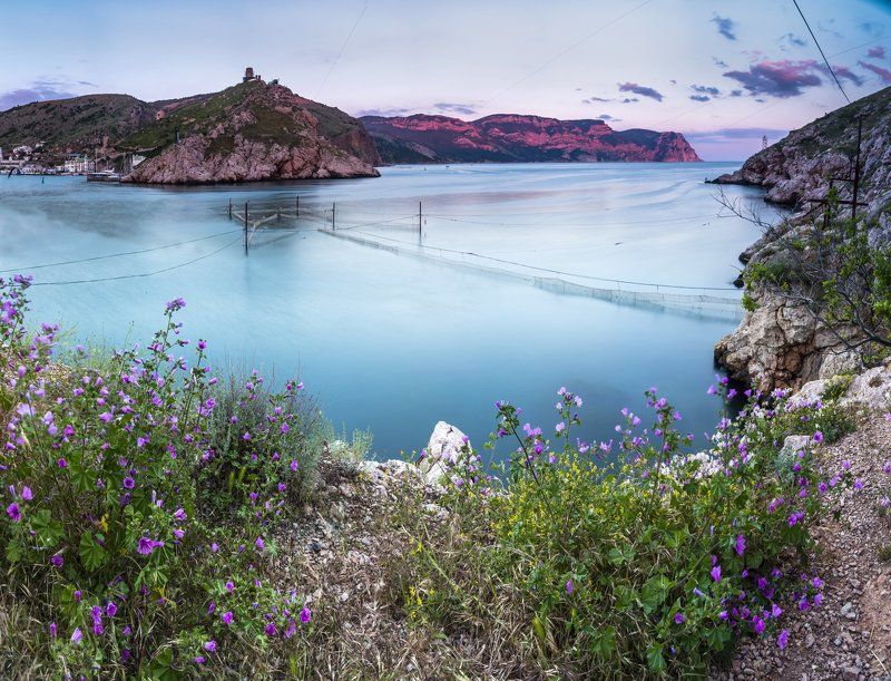 фото превью