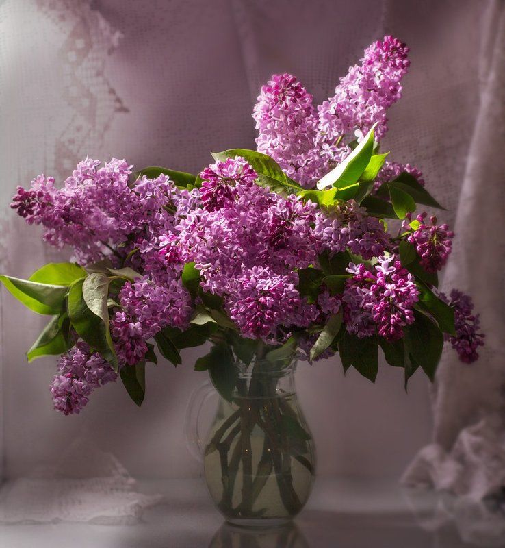 Сиреневый туман.photo preview