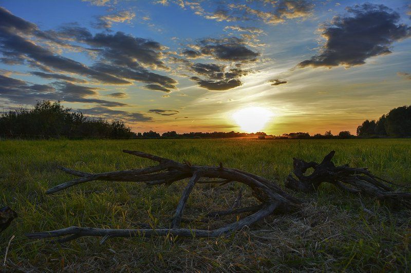 вечер закат скульптура небо краски Вечерняя зарисовкаphoto preview