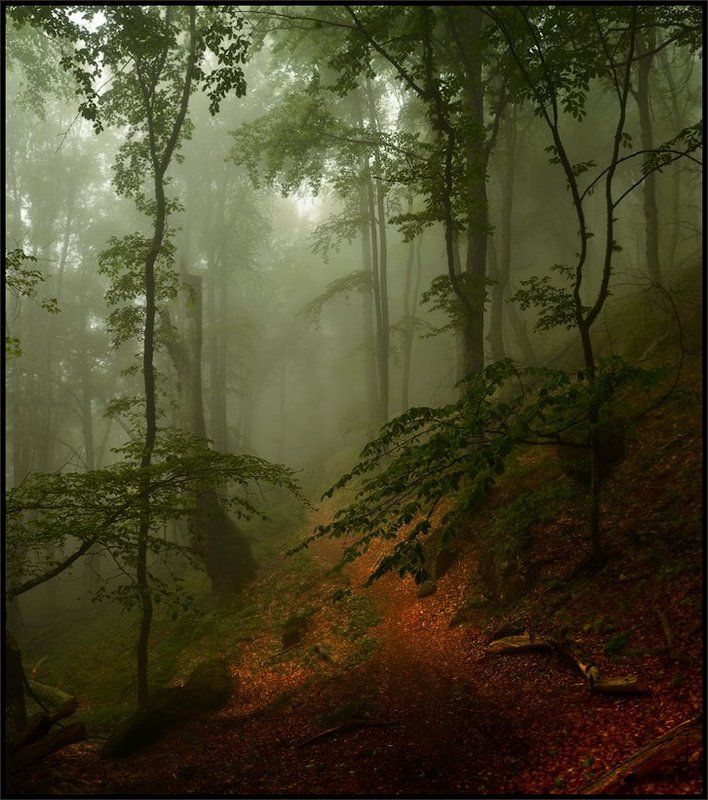 Майские туманы на Демирджиphoto preview