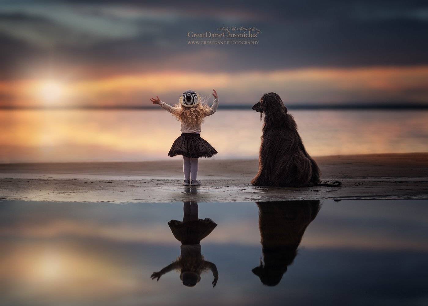 , Андрей Селиверстов