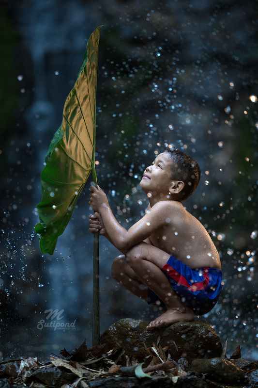 child,kid,hope,happiness,boy, Cheerfulphoto preview