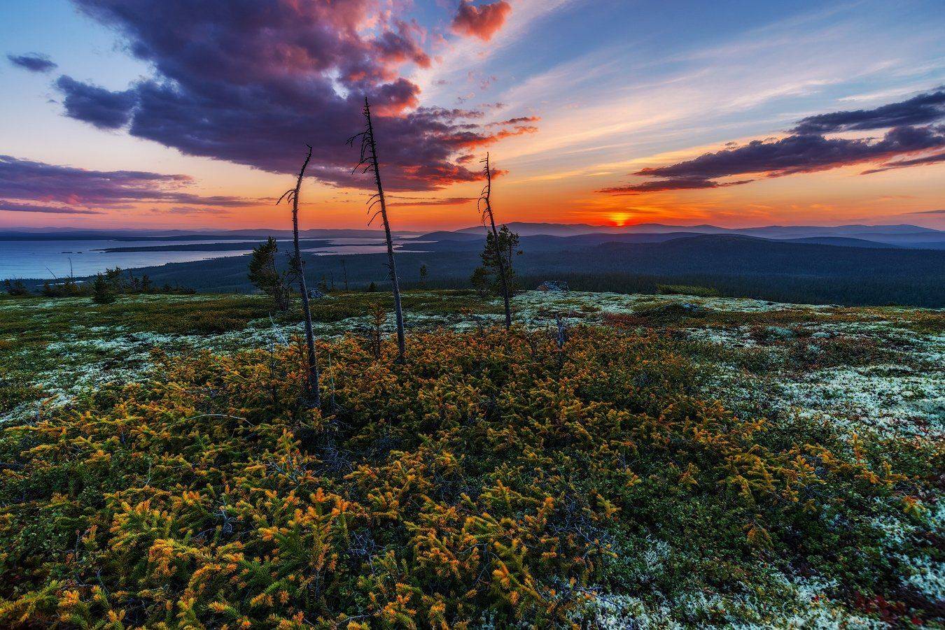 , Роман Горячий