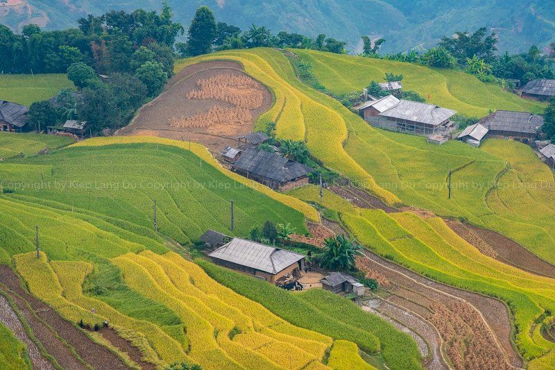 purchase a license all royalty-free licenses include global use rights, comprehensive protection, simple pricing with volume discounts available xssml 4896 x 2709 px | 16.32 x 9.03 in | 300 dpi size guide Rice fields on terraced of Hoang Su Phi, Ha Giang, Vietnamphoto preview