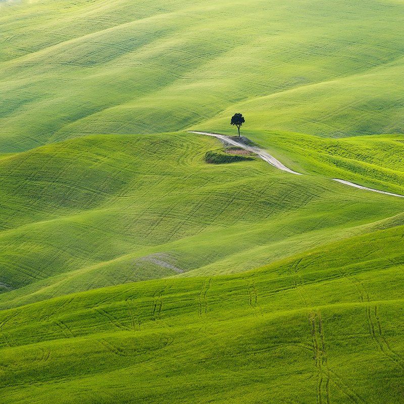 Toscanaphoto preview