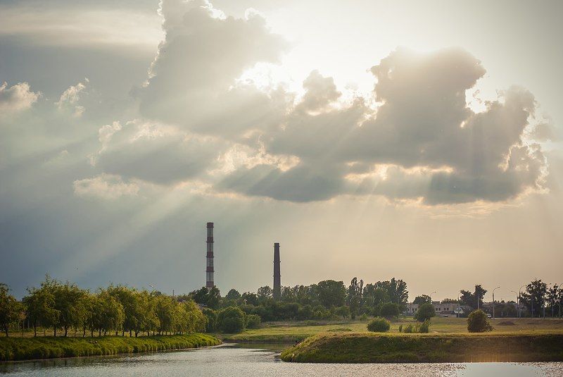 солнце, природа, красиво, нежно Летнееphoto preview