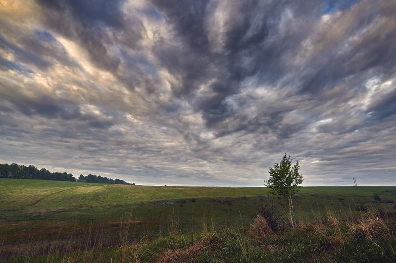 Пасмурное утроphoto preview