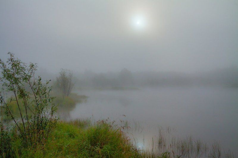 В прохладе утреннего туманаphoto preview