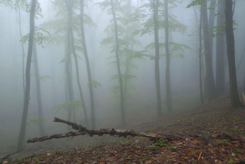 Фата-Моргана...photo preview