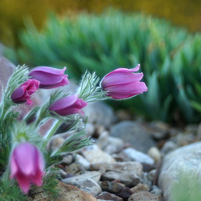 Весна...photo preview