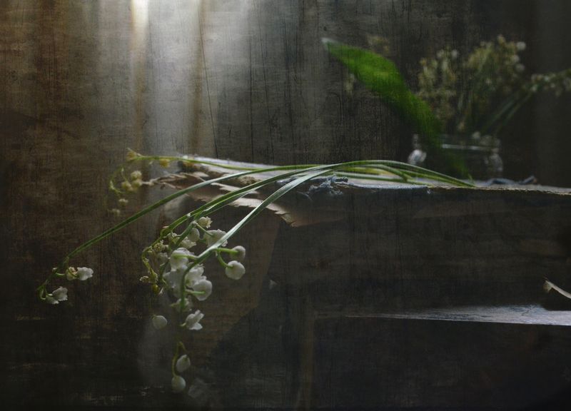 ландыш, окно, книга. С ландышамиphoto preview