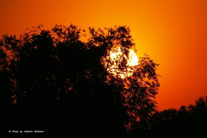 Red Sunset фото превью