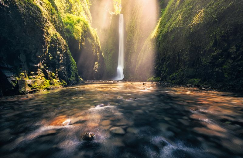 oregon Shower of Lightphoto preview