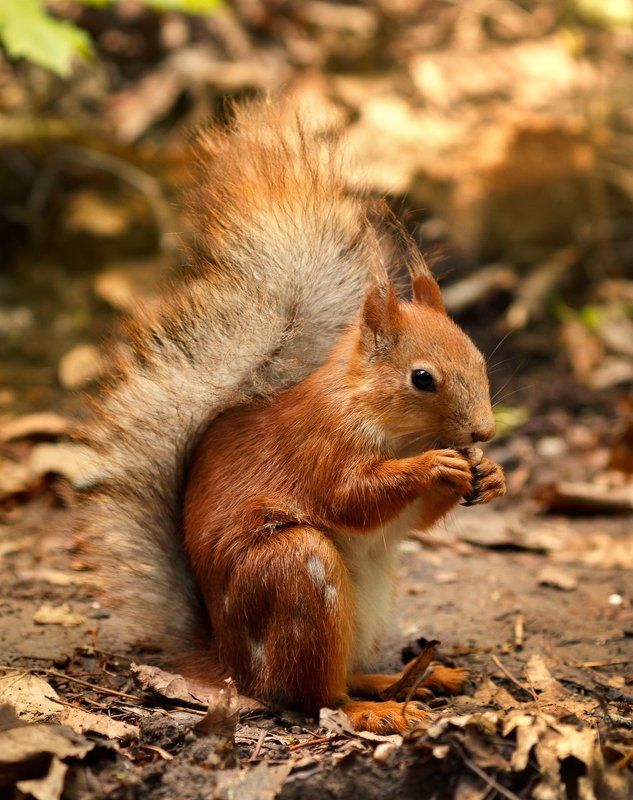 Это точно последний?photo preview