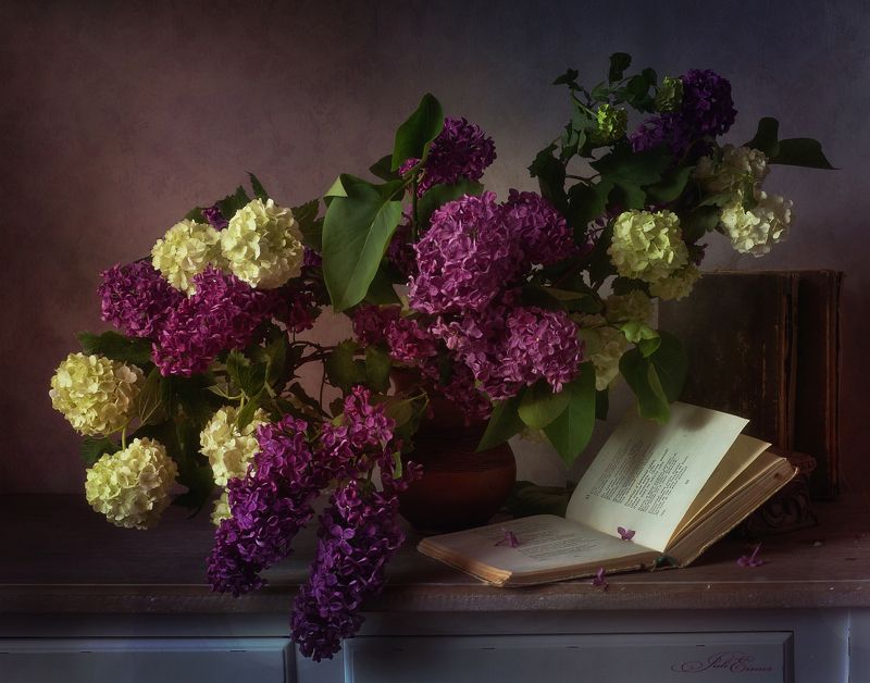 Сиреневый вечерphoto preview