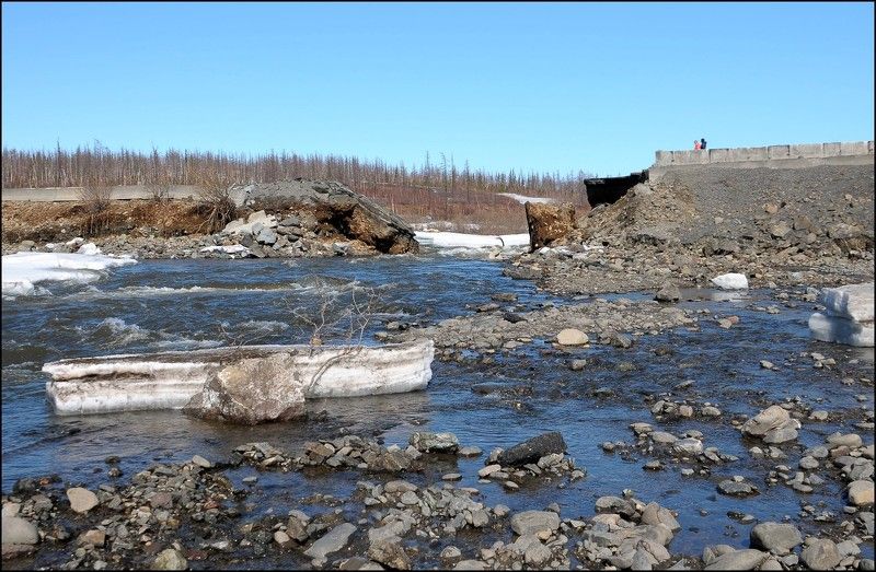 Таймыр,июнь,лето Таймыр.Июньские мотивы.photo preview