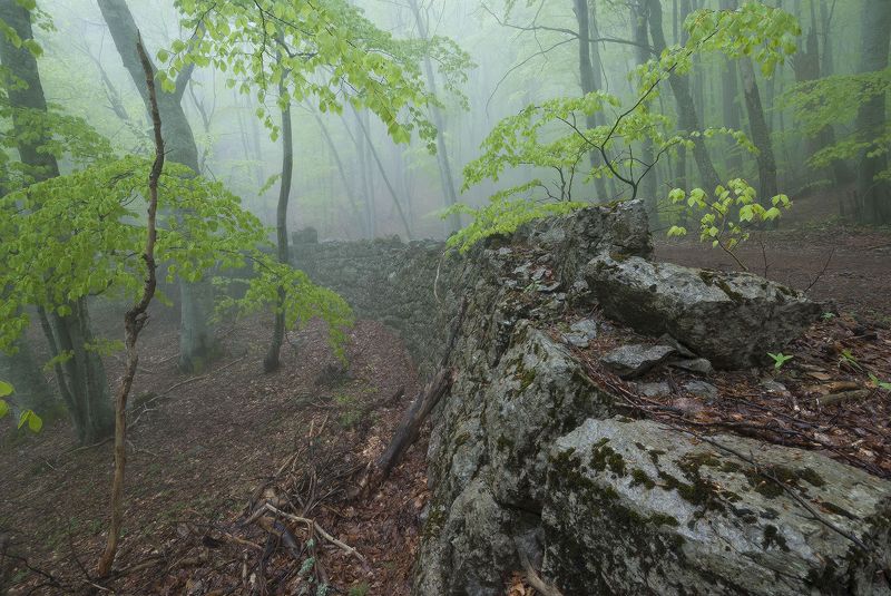О новой жизни у старых стен....photo preview