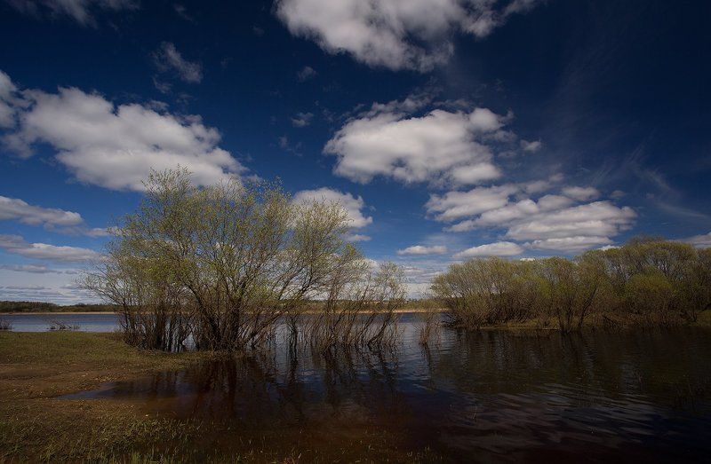 *********photo preview