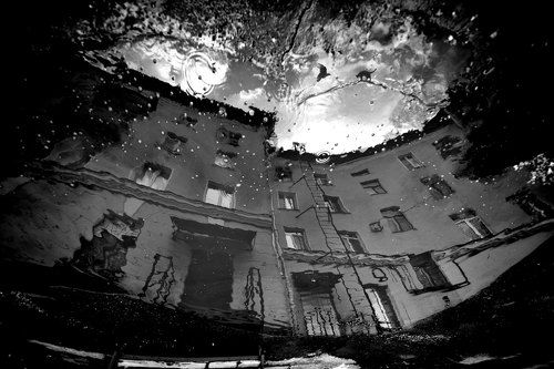 Разговор на высоком уровне...