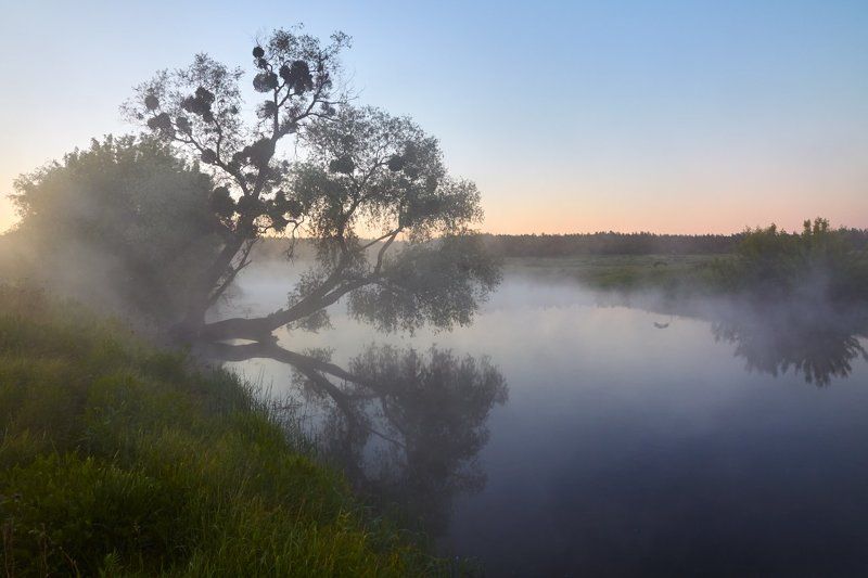 утро, река, туман Утро на рекеphoto preview