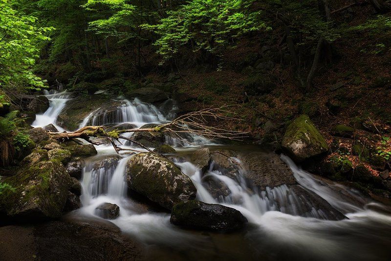 река Владайскаphoto preview