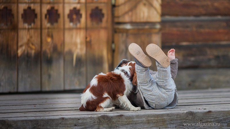 мальчик дети ребенок малыш собака щенок Друзья продолжениеphoto preview