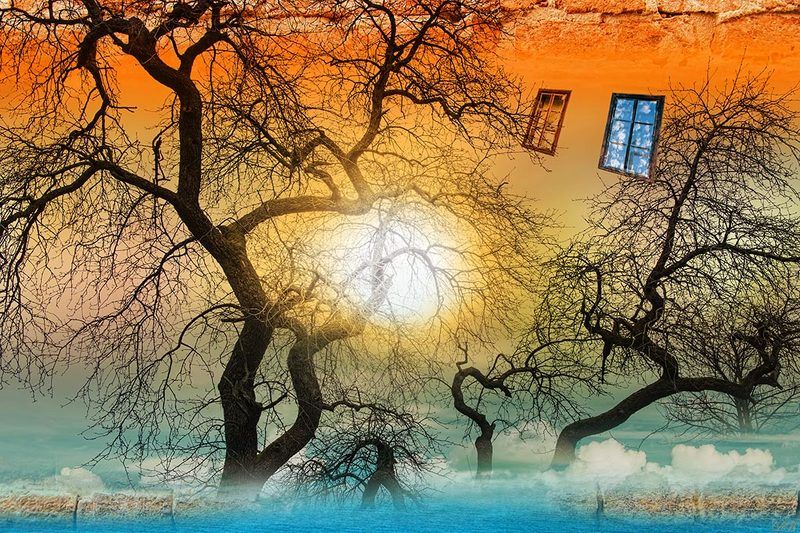 art, blue, collage, color, colors, color image, composing, concept, conceptual,  digital, editing, orange, photography, photo collage, sea, surreal, surrealism, tree, trees, The Harbour of Clandestine Meetingphoto preview