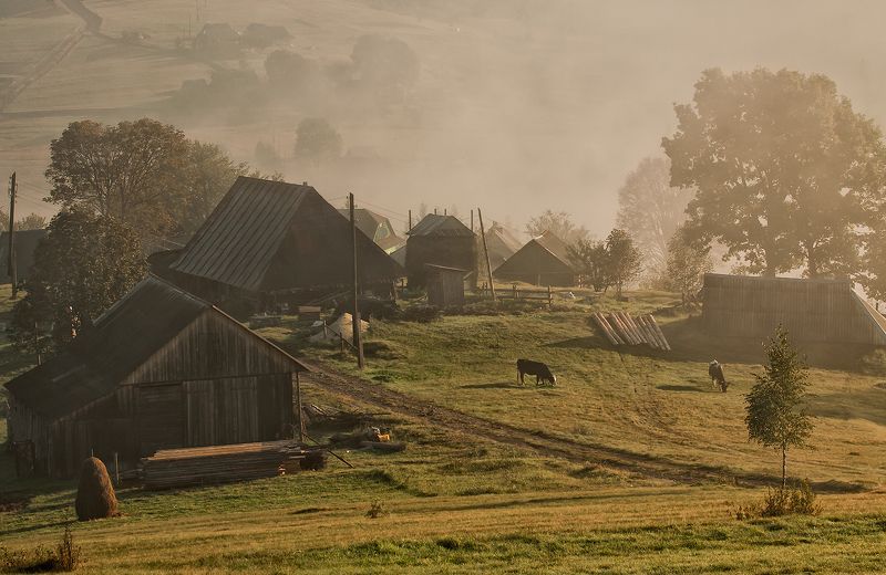 карпаты,	утро, хутор, сенечив утро на хуторе...photo preview