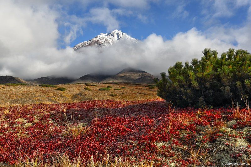 камчатка Там вулканы спят на облакахphoto preview