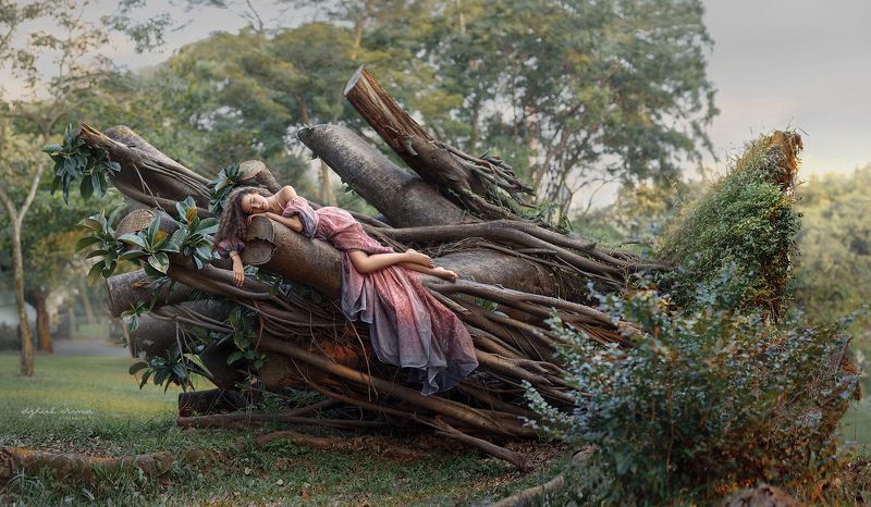 girl tree dzhulirina irinadzhul portreit people ***photo preview