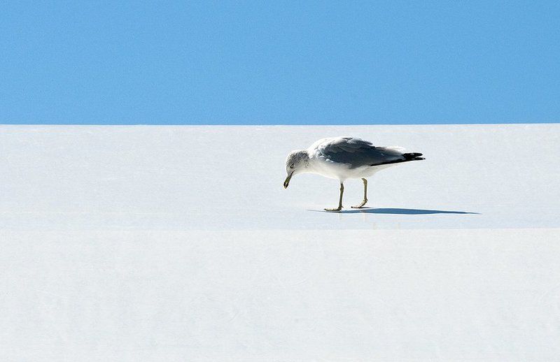 Untitledphoto preview