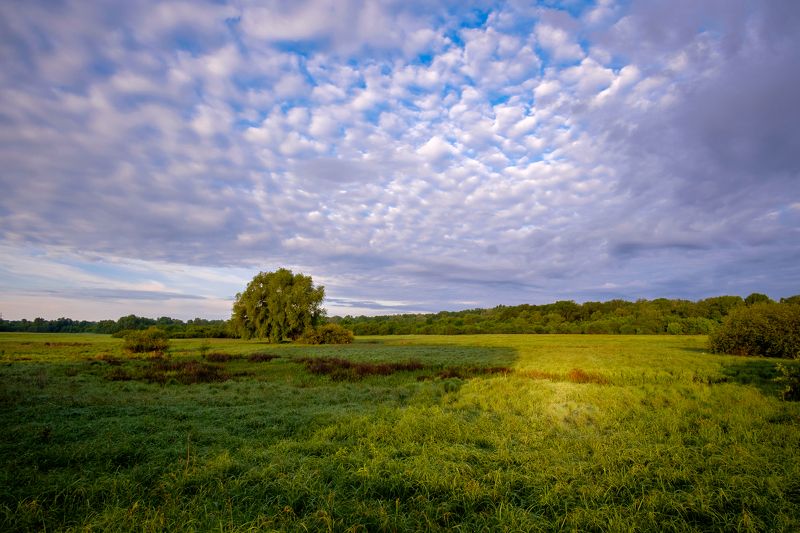 пейзаж, река, утро, природа, рассвет, nature, landscape, sunrise, sky, clouds Ранним утром на лугу...photo preview