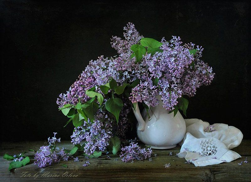 лето июнь сирень цветы Отцветает...photo preview