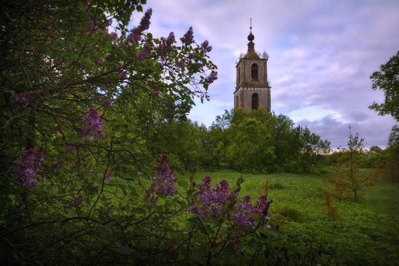 Цветет сиреньphoto preview