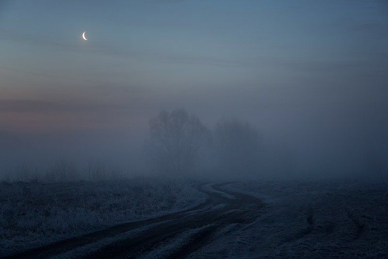 Сумерки.photo preview