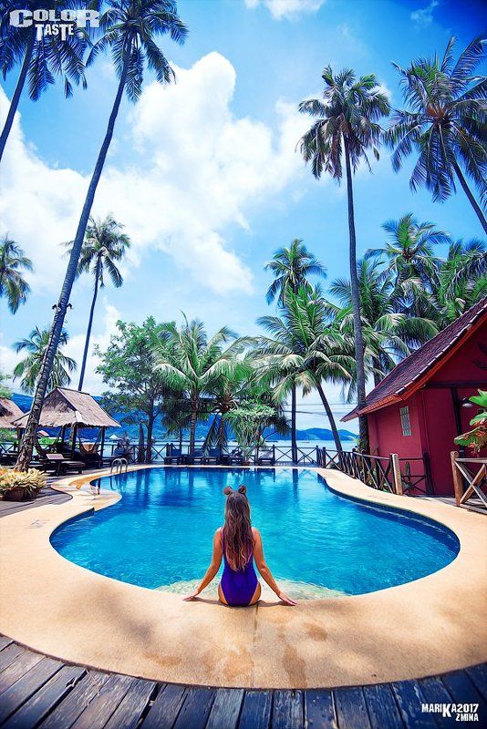 COLOR TASTEphoto preview