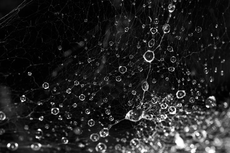 Капельки волшебства:)photo preview